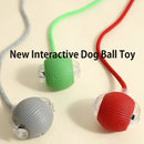 Smart Auto-Roll Dog Ball Toy (Rechargeable)