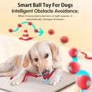 Smart Auto-Roll Dog Ball Toy (Rechargeable)