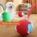 Smart Auto-Roll Dog Ball Toy (Rechargeable)